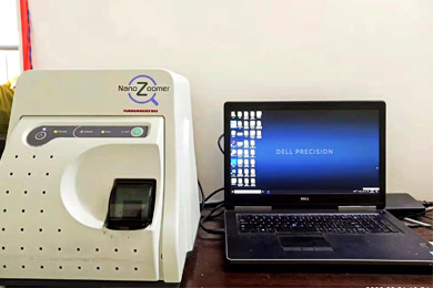 重庆全景数字白光扫描