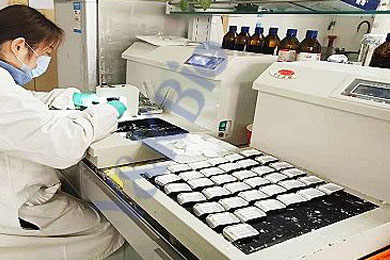 重庆石蜡包埋服务