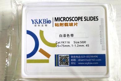 重庆粘附载玻片