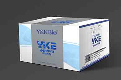 重庆RIPA裂解液（强）