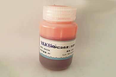 重庆伊红染液（水溶性）