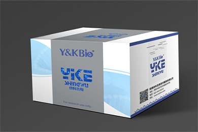 重庆Masson-Fontana黑色素染色试剂盒