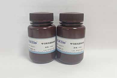 重庆考马斯亮蓝染色液