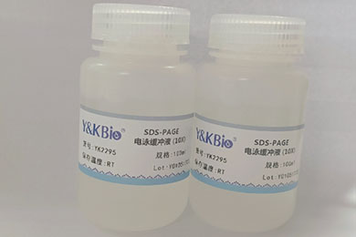 重庆10×SDS-PAGE电泳缓冲液